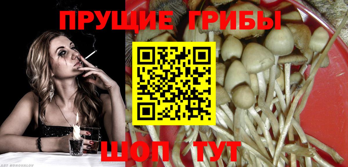 Псилоцибиновые грибы прущие грибы Чебоксары